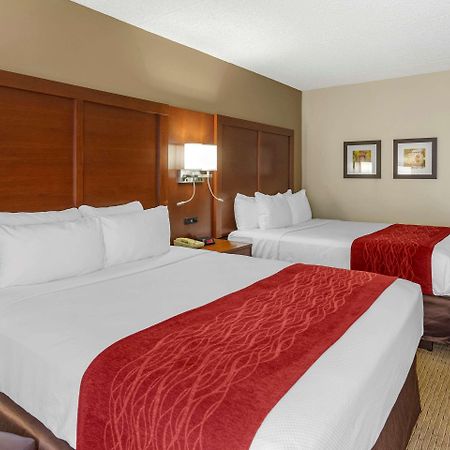 Comfort Inn&Suites Rochelle Extérieur photo